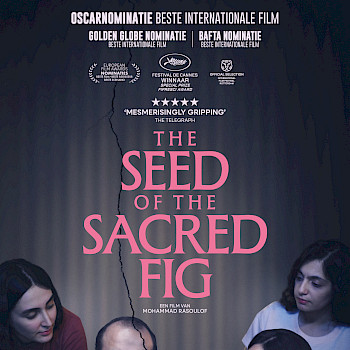 The Seed of the Sacred Fig